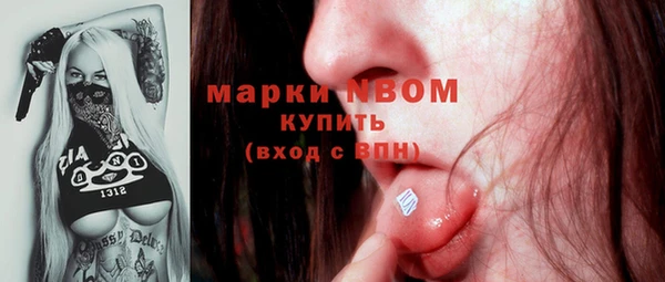 гашик Майский