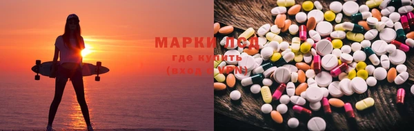 трава Магас
