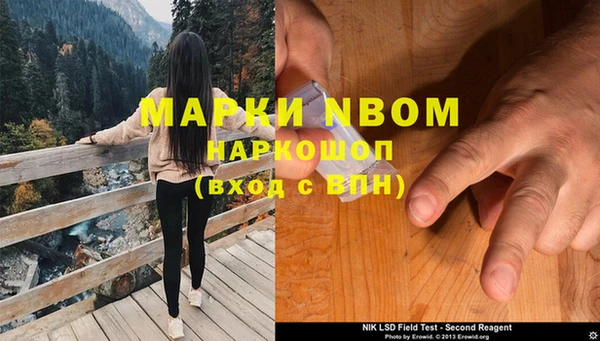 молекула духа Магадан