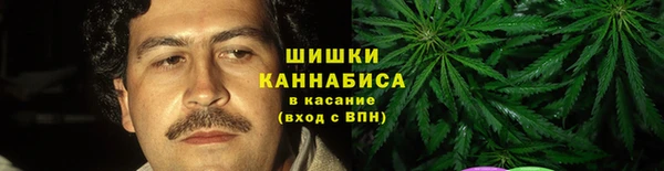 ПСИЛОЦИБИНОВЫЕ ГРИБЫ Лихославль