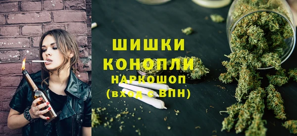 трава Магас