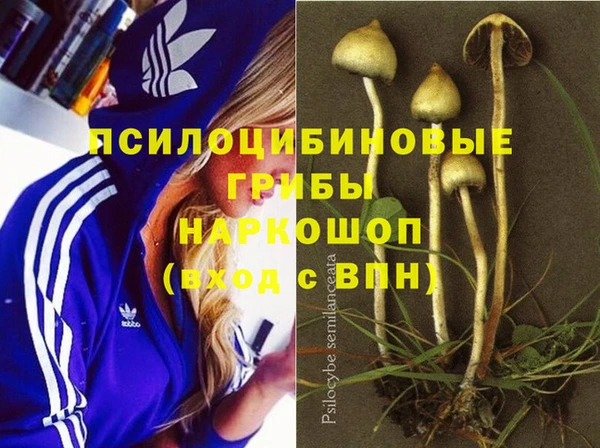 гашик Майский