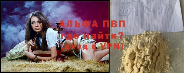 гашик Майский