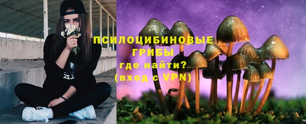 трава Магас