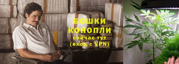 молекула духа Магадан